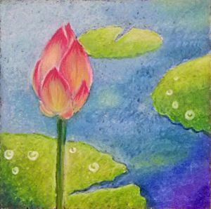 睡蓮・water lily - okey-dokey