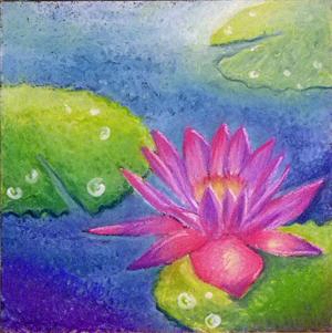 睡蓮・water lily - okey-dokey